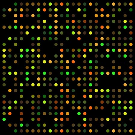 Dedicated DNA microarray -       