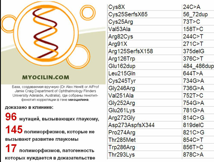 база данных по мутациям миоцилина